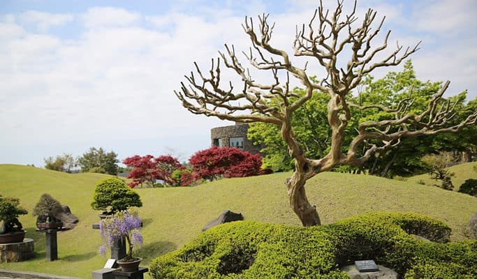 Spirited Garden Jeju Entrance Ticket - main view