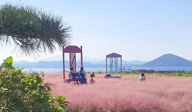 Jeju Udo Garden Discount Ticket - main view