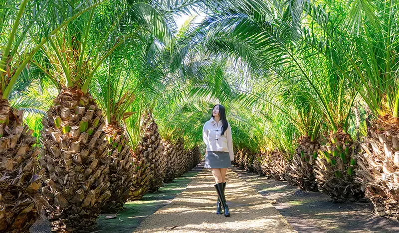 済州島の牛島（ウド）庭園入場券 - main view
