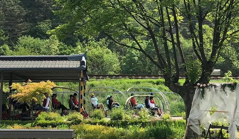 Tiket Jeonju Hanok Rail Bike - main view