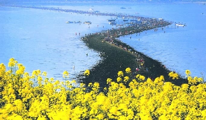 Spring Special: 2020 Jindo Sea Parting Festival Tour - from Seoul/Busan (Apr 9) - main view