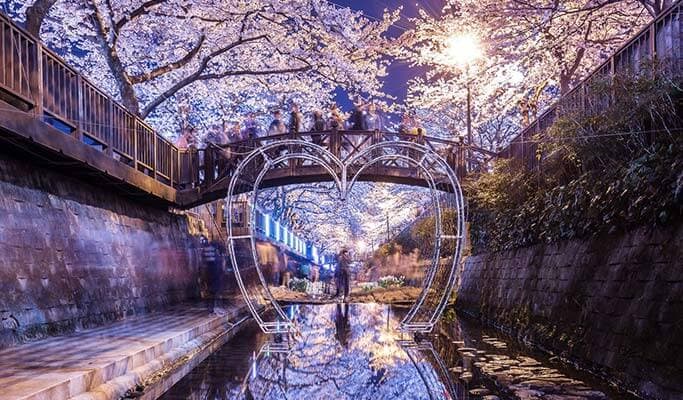 Spring Special: Jinhae Cherry Blossom Festival 1 Day Evening Tour- from Busan (Mar 12~27) - main view