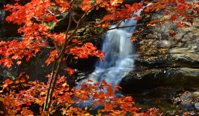 [Autumn Foliage] Naejangsan/ Daedunsan/ Jirisan 1 Day Private Van Tour - from Busan (Oct 14~Nov 8) - main view