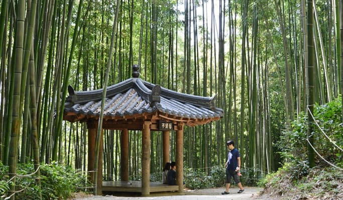 Damyang Bamboo Forest + Meta Provence Private Tour - from Seoul - main view
