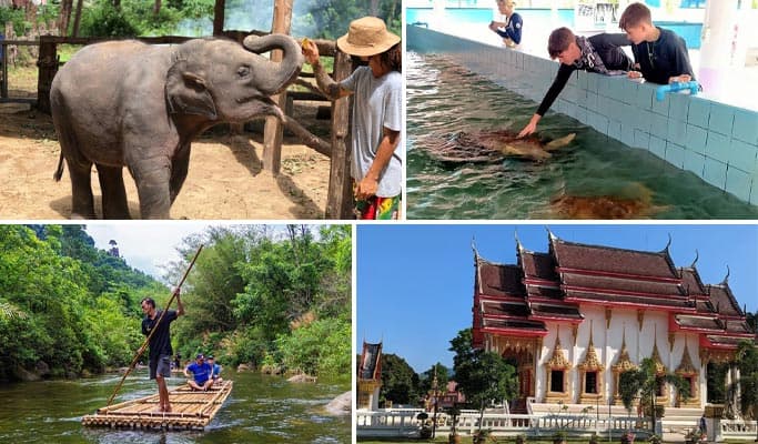 Khao Lak Elephant Sanctuary + Bamboo Rafting + Turtle Conservation Center 1 Day Tour (+  Lunch) (+ Hotel Transfer) (Join-in/Private) - main view