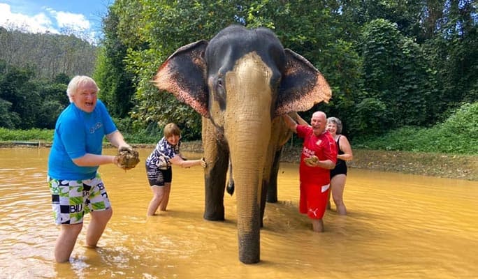 Khao Sok Elephant Sanctuary + National Park Trekking 1 Day Tour (+ Dinner) (+ Hotel Transfer) - From Khao Lak - main view