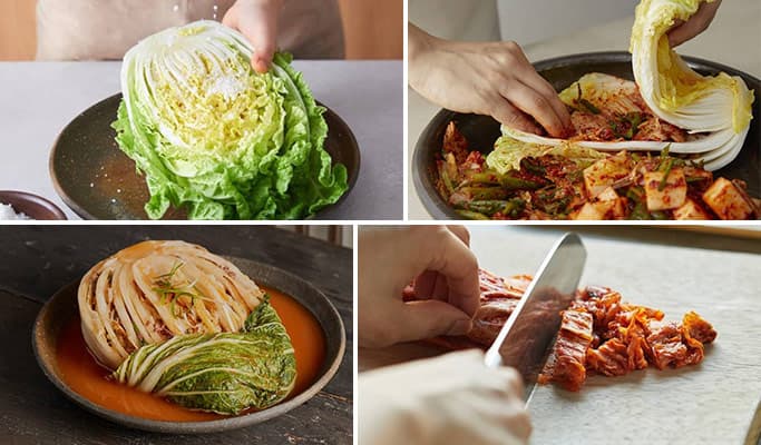 Museum Kimchikan Discount Ticket - main view