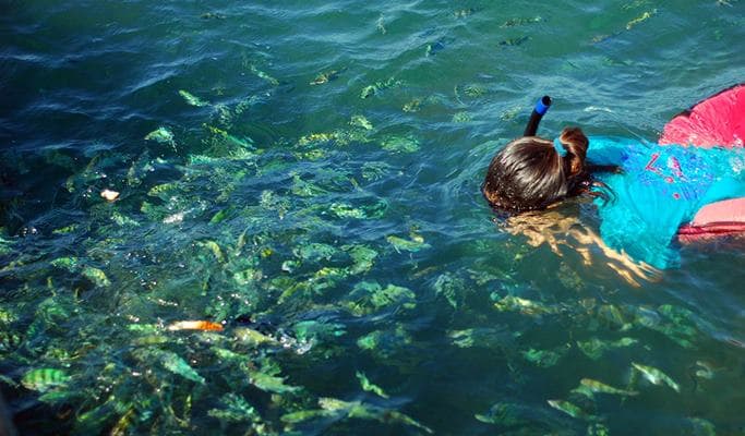 Koh Taen & Koh Mat Sum Tour (+Meal/Snorkeling) (+Kayaking / Fishing / Dolphin-watching options) by Long-tail Boat/Speedboat - from Koh Samui - main view