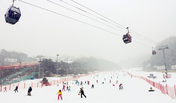 Vivaldi Park Ski Resort: 1 Day Ski/Snowboard/Snowy Land Snow Sled Tour - main view