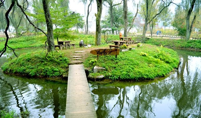 Nami Island & Pyunggang Land 1 Day Tour (~Oct) - main view