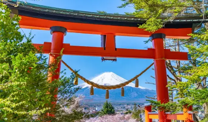 Mt. Fuji Signature Scenic Spots 1 Day Tour from Tokyo - main view