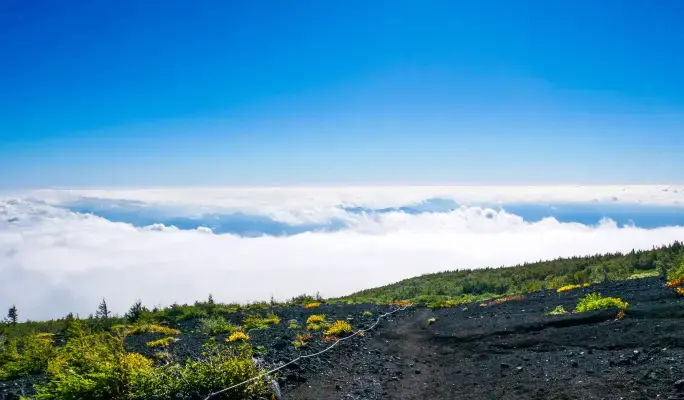 Mt. Fuji Hiking 1 Day Tour from Tokyo (5th to 7th Station) - main view