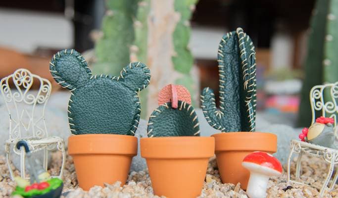 Make Your Own Miniature Cactus Plant Using Leather in Daegu - main view