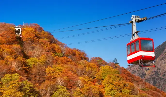 Nikko Akechidaira Ropeway Ticket - main view
