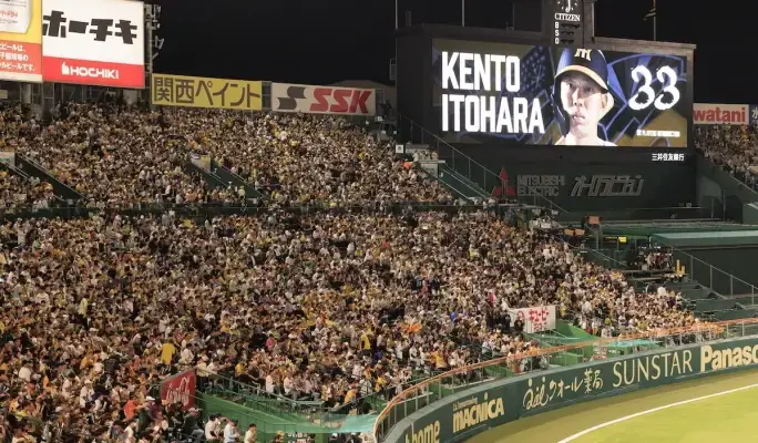 Hanshin Tigers Game & The Museum of Hanshin Koshien Stadium Combo Ticket - main view