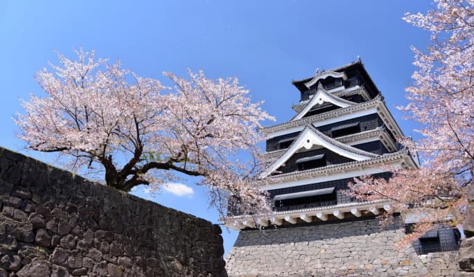 Kumamoto Castle Admission Ticket - main view
