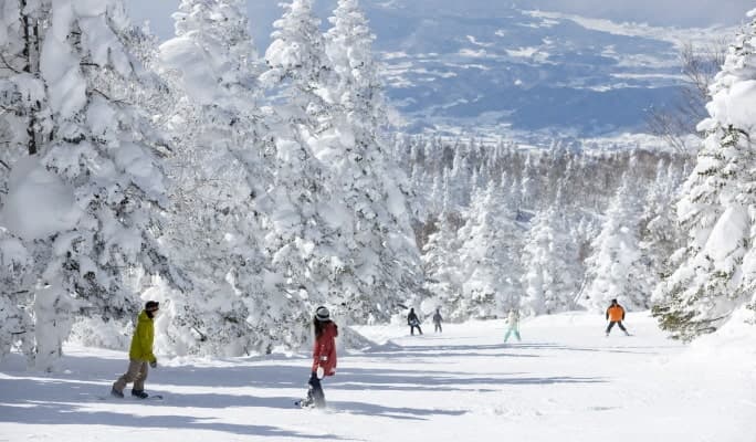 Ryuoo Ski Park  2D1N/3D2N Ski/Snowboard Tour From Tokyo - main view