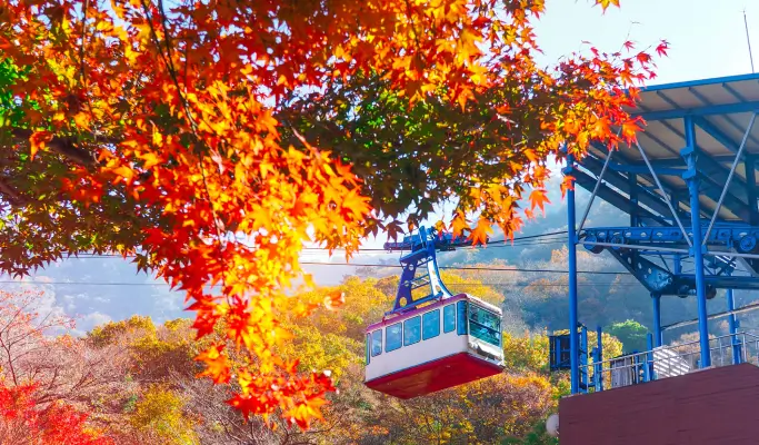[Autumn Foliage] Naejangsan/ Seoraksan National Park 1 Day Tour from Seoul (Oct 17~Nov 12) - main view