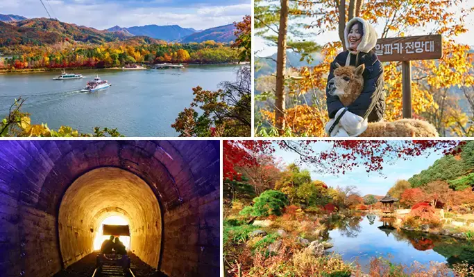 Nami Island & Alpaca World Tour (+ Rail Bike or Garden of Morning Calm options) - main view