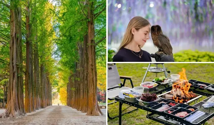 Nami Island and Begonia Bird Park Private Tour with BBQ - from Seoul - main view
