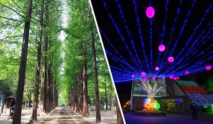 Nami Island + Chuncheon Lake Starlight Nation Festival Afternoon Tour - main view