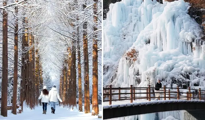 Nami Island + Eobi Ice Valley Tour (+ Garden of Morning Calm/ Rail Bike/ Petite France/ Alpaca World options) - main view