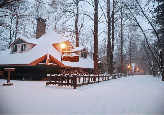 南怡島 + 晨靜樹木園 /  小法國村 + 小義大利村 1 日遊 - main view