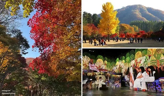 Nami Island & Walkerhill Maple Road/ Theatre des Lumieres 1 Day Tour from Seoul (Sept~Nov) - main view