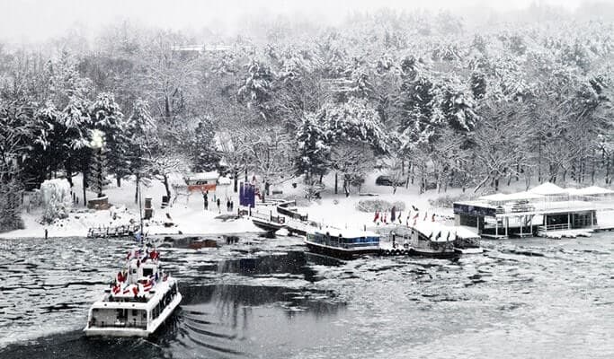 Nami Island & Alpaca World Tour (+ Rail Bike or Garden of Morning Calm options) - main view