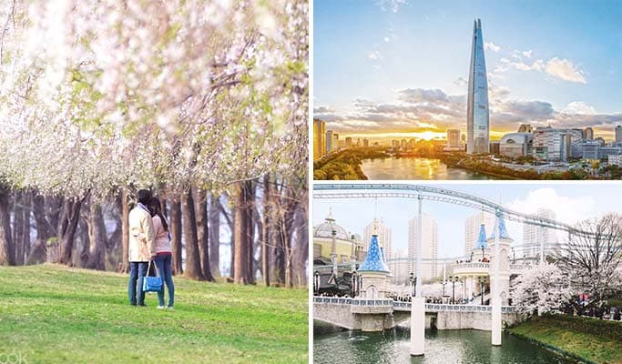 Nami Island & Lotte World / Lotte World Tower 1 Day Tour (~Jun) - main view