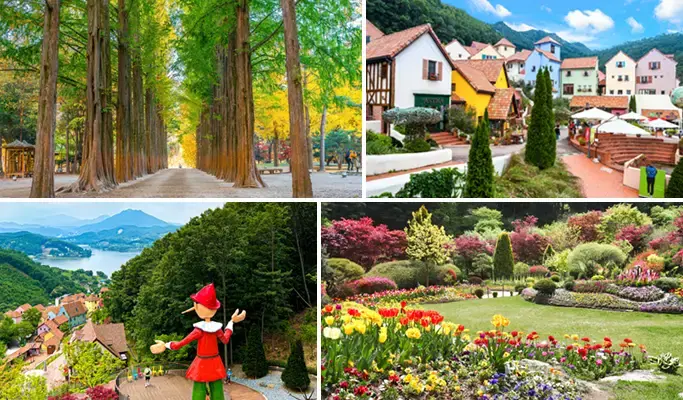Nami Island + Petite France & Italian Village + Garden of Morning Calm Tour - main view