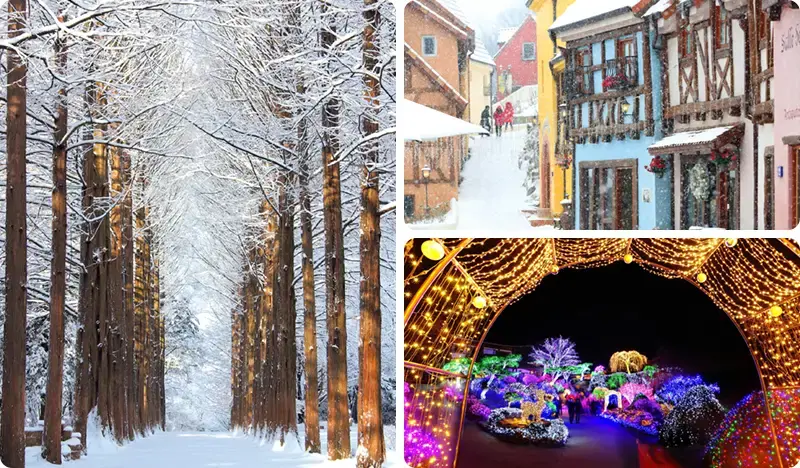 南怡島＋小法國村＆小義大利村＋晨靜樹木園之旅 - main view