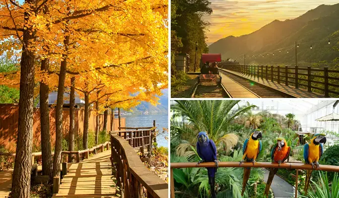 Nami Island & Rail Bike (+ Begonia Bird Park) Tour - from Seoul - main view