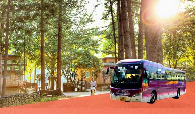 Nami Island Shuttle Bus from Seoul - main view