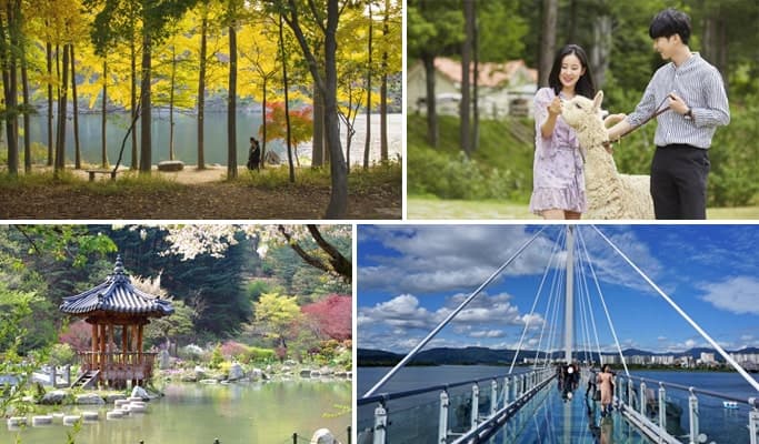 Nami Island + Alpaca World + Garden of Morning Calm + Soyanggang Skywalk Tour - main view