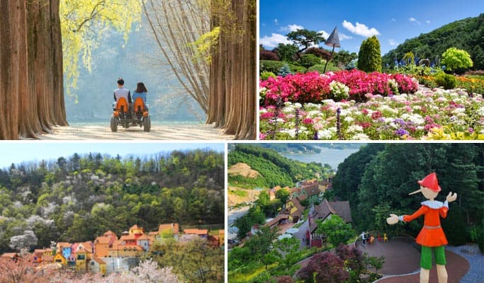 Nami Island (+ Garden of Morning Calm or Petite France & Italian Village) Tour - main view