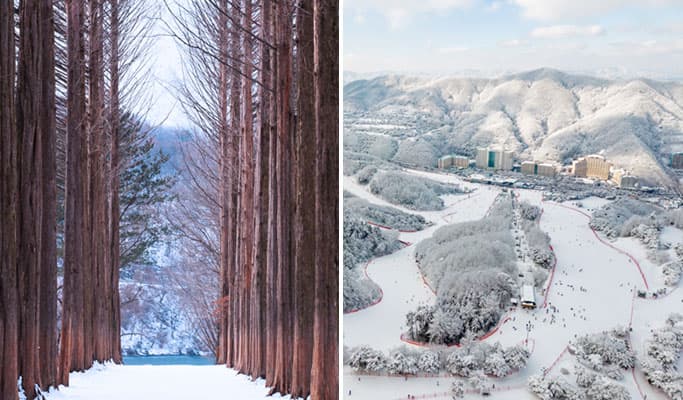 Nami Island & Vivaldi Park Ski Resort 1 Day Package - main view