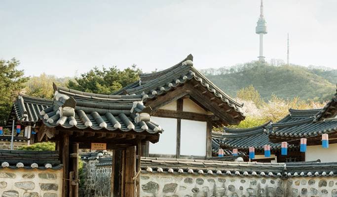 Seoul by Foot: Namsan Park & N Seoul Tower Evening Hiking Tour - main view