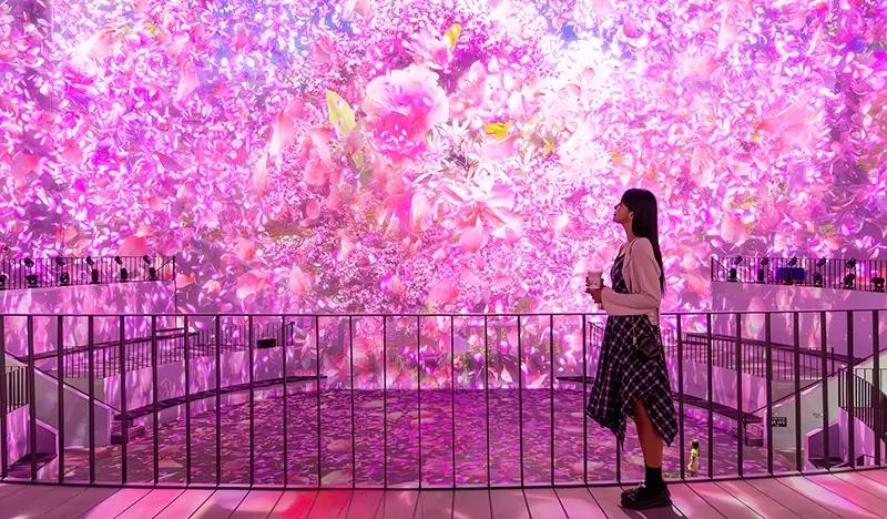 Tiket Masuk Pameran Media Art Jeju Nohyung Supermarket - main view