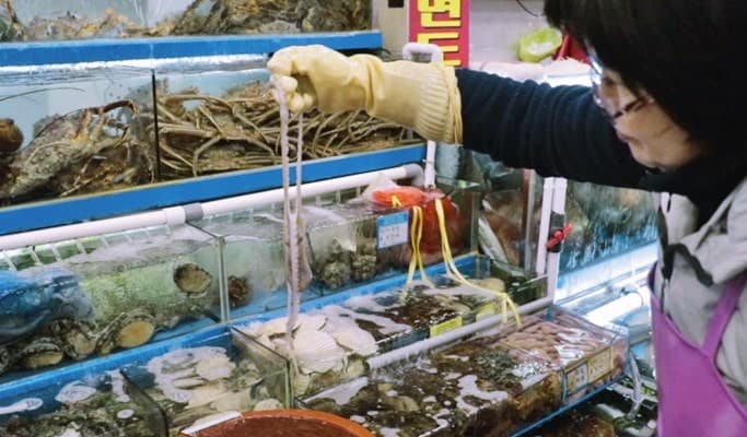 Noryangjin Fish Market Walking Tour - main view