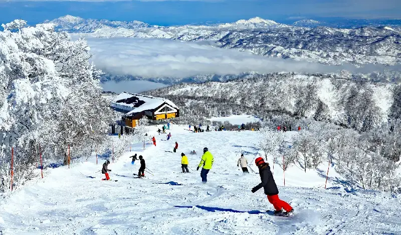 Tokyo ↔ Nozawa Onsen Ski Resort Shuttle Bus Ticket - main view