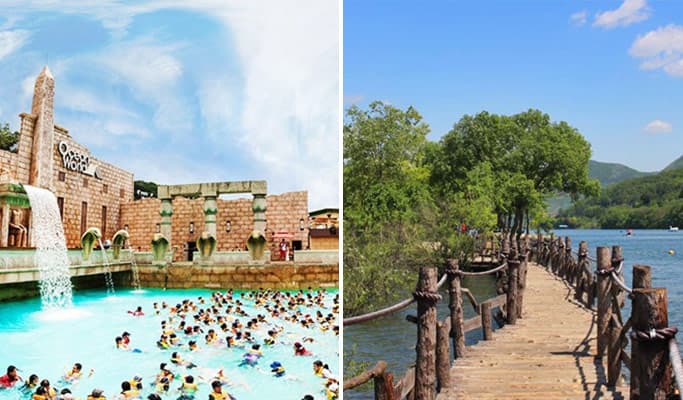 Ocean World Water Park & Nami Island 1 Day Tour (~Aug) - main view