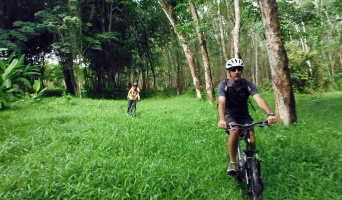 Phuket Bike Tour (Half Day & Full Day) - main view