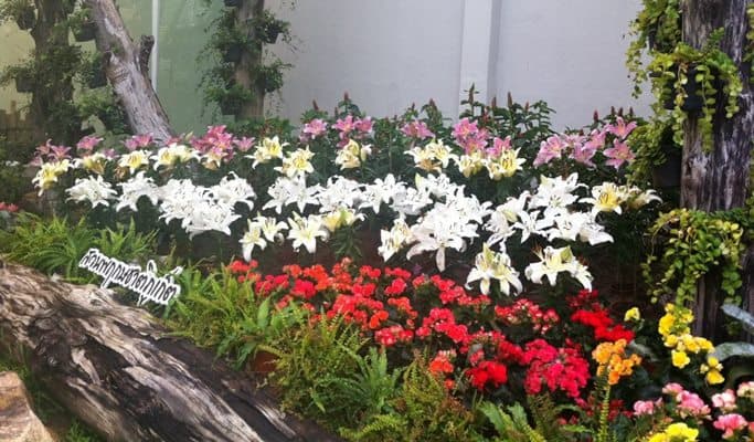 Phuket Botanic Garden Discount Ticket - main view