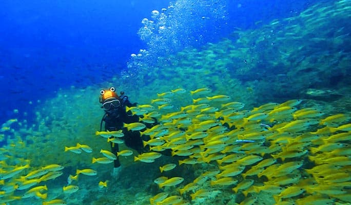 Phuket Scuba Diving Tour (+ Hotel Transfer) - main view