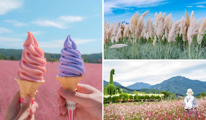 Pocheon Colorful Autumn Tour: Herb Island + Pocheon Garden Festa + Nari Park 1 Day Tour - from Seoul (Sept 4~Oct 20) - main view