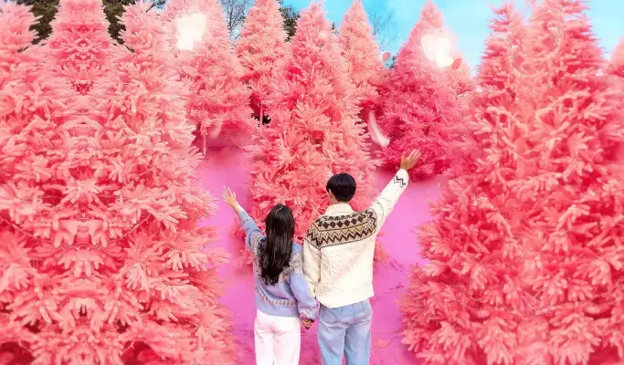 Pocheon Romantic Winter Wonderland Tour from Seoul (Dec 1~Feb 28) - main view