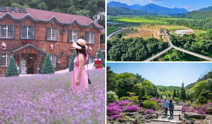 Pocheon Herb Island + Pyunggang Land + Suspension Bridge 1 Day Tour - from Seoul (May 1~Aug 30) - main view