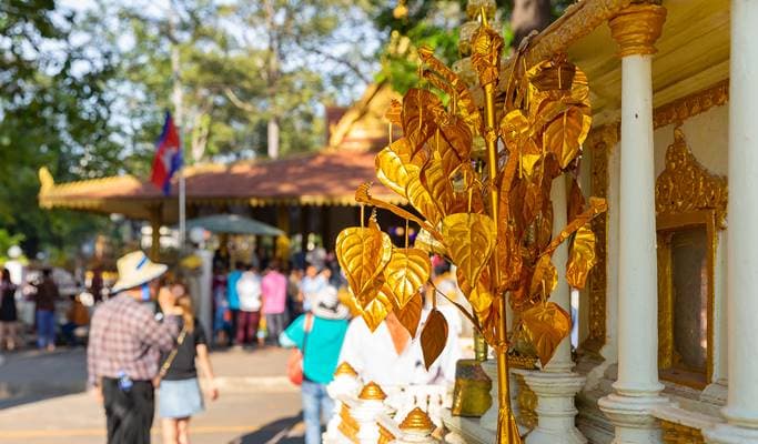 Siem Reap City Sightseeing Afternoon Tour (Half Day) - main view