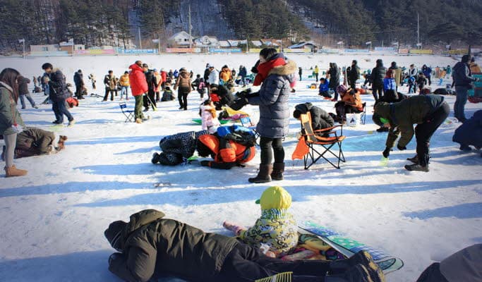 Alpensia/Yongpyong Ski Resort ↔ Pyeongchang Trout Festival Shuttle Bus (Dec 22~ Jan 20) - main view